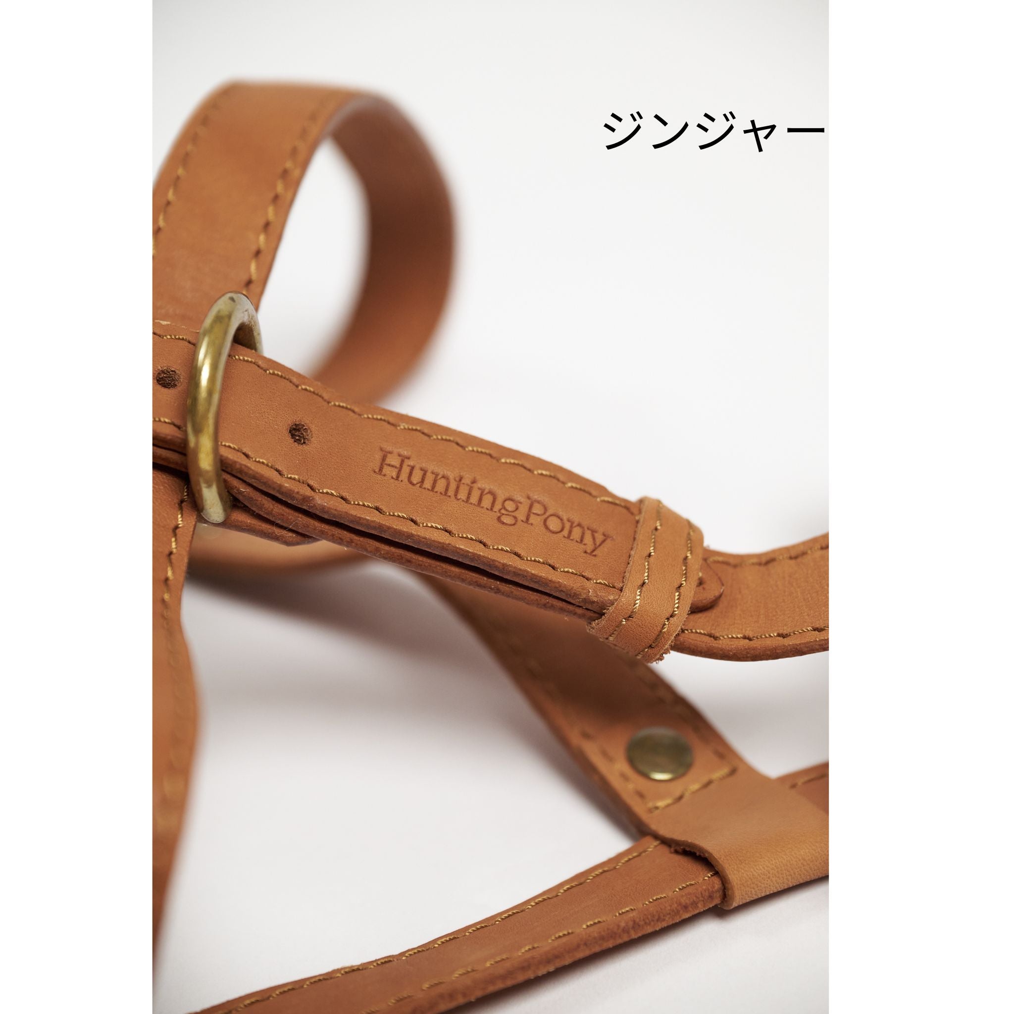 Hunting Pony ドッグハーネス・THE EIGHT
