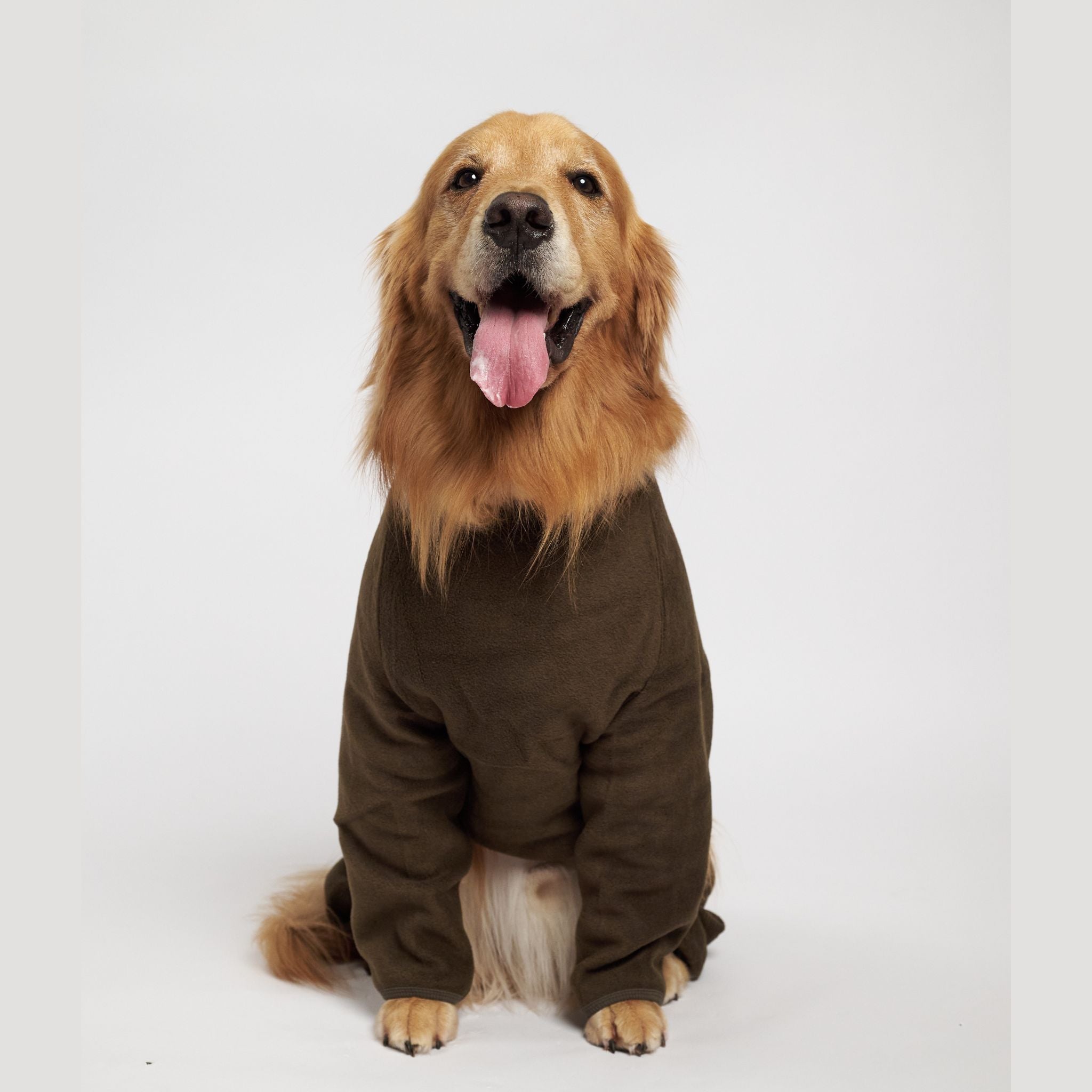 Go-Dog Fleece