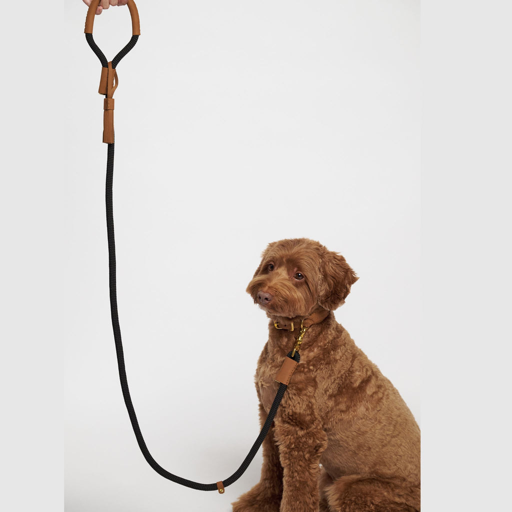 Hunting pony ドックカラーマカロニー