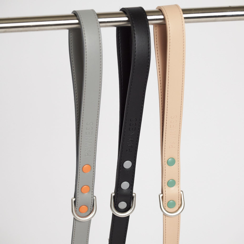 Pawness　ヴィーガンレザードッグリード