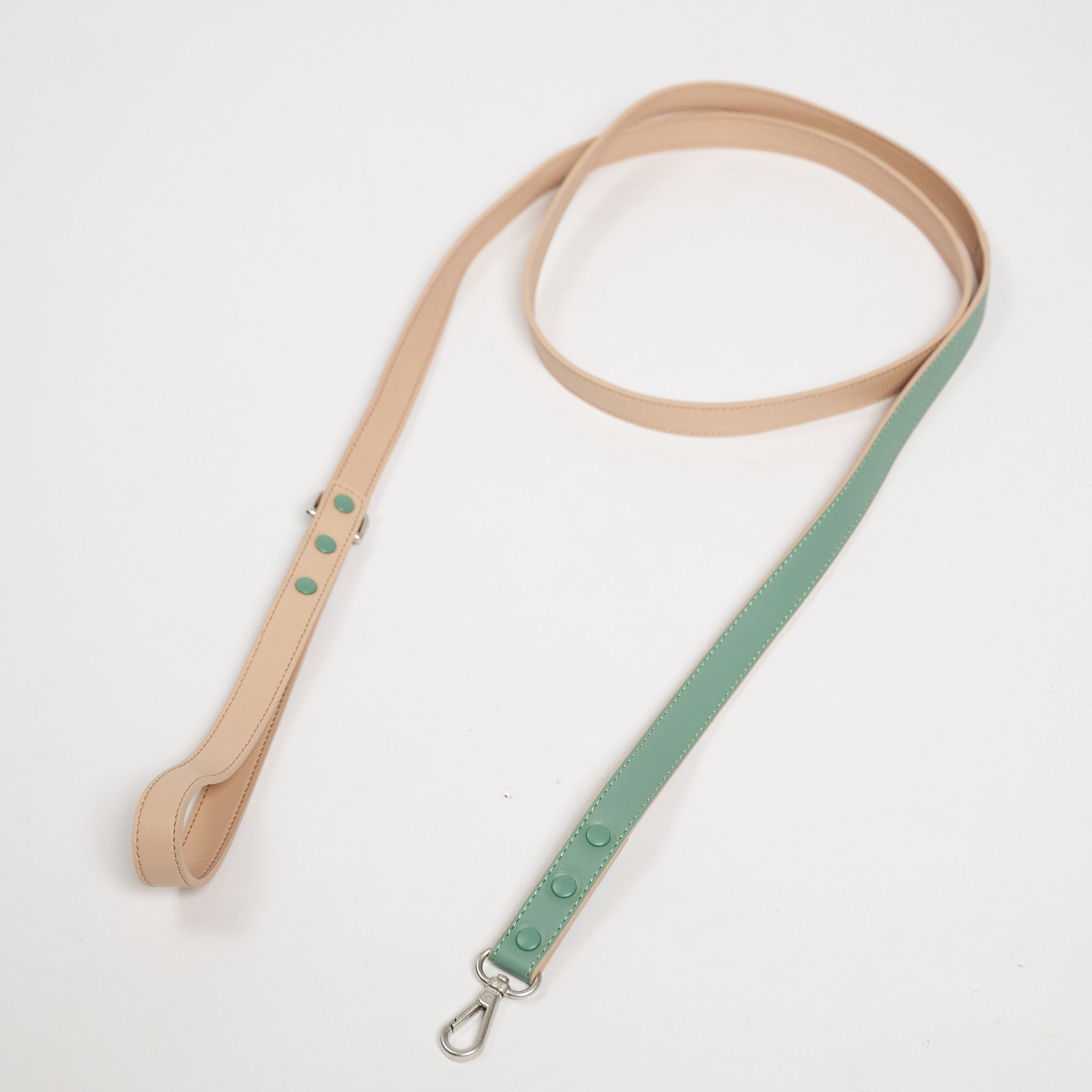 Pawness　ヴィーガンレザードッグリード