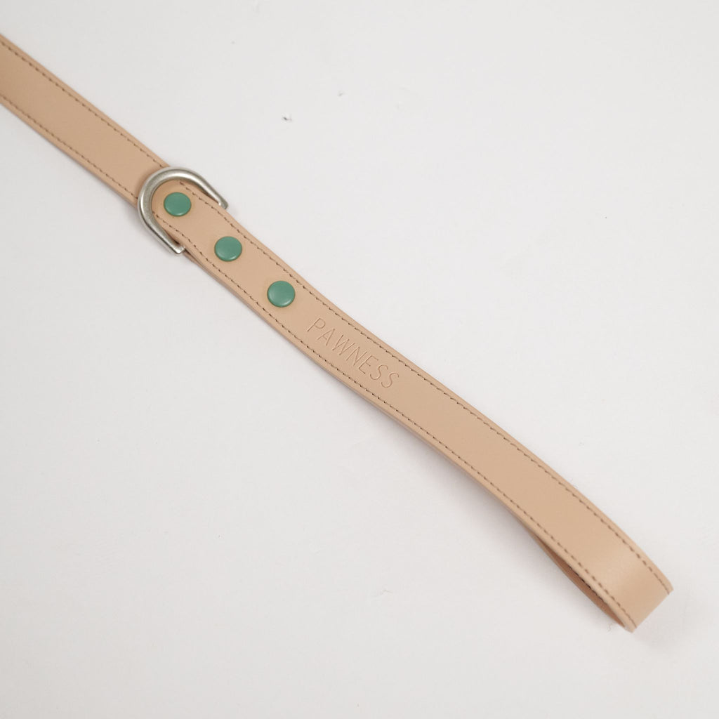 Pawness　ヴィーガンレザードッグリード