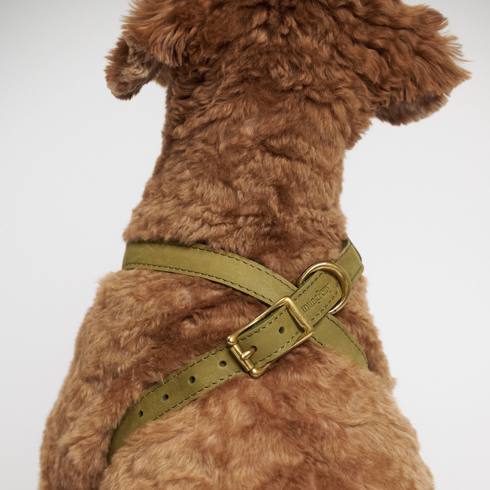 Hunting Pony ドッグハーネス・THE EIGHT