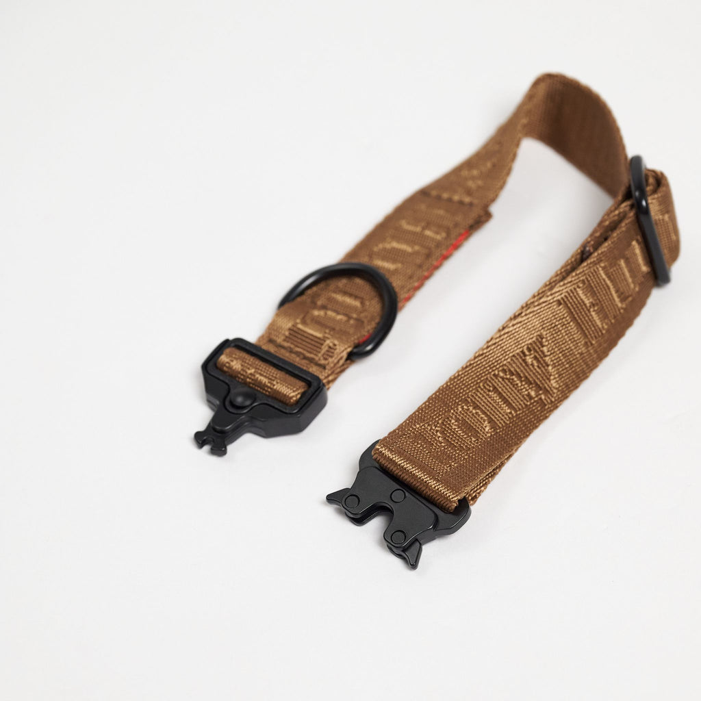 Hunting Pony ポニーコンパニオニー　カラー