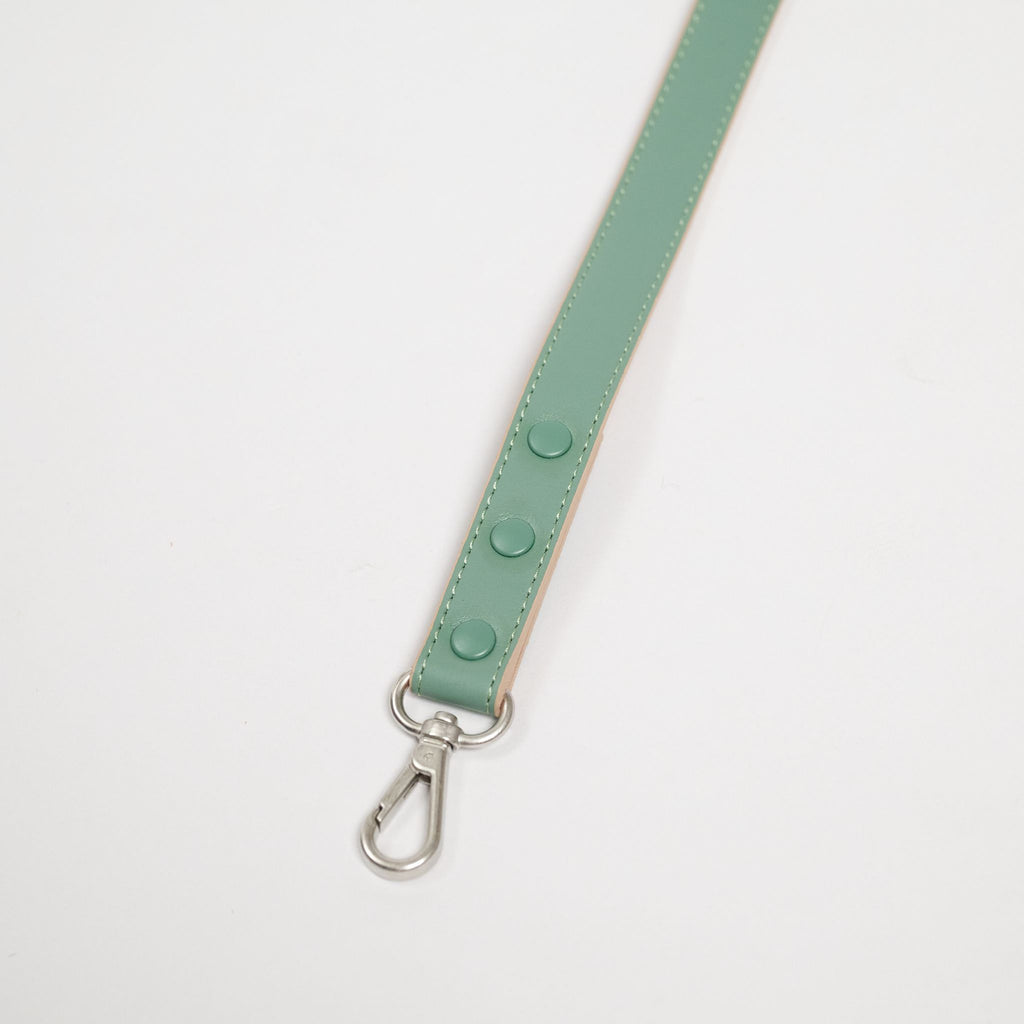 Pawness　ヴィーガンレザードッグリード