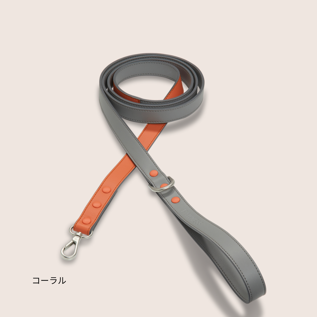 Pawness　ヴィーガンレザードッグリード