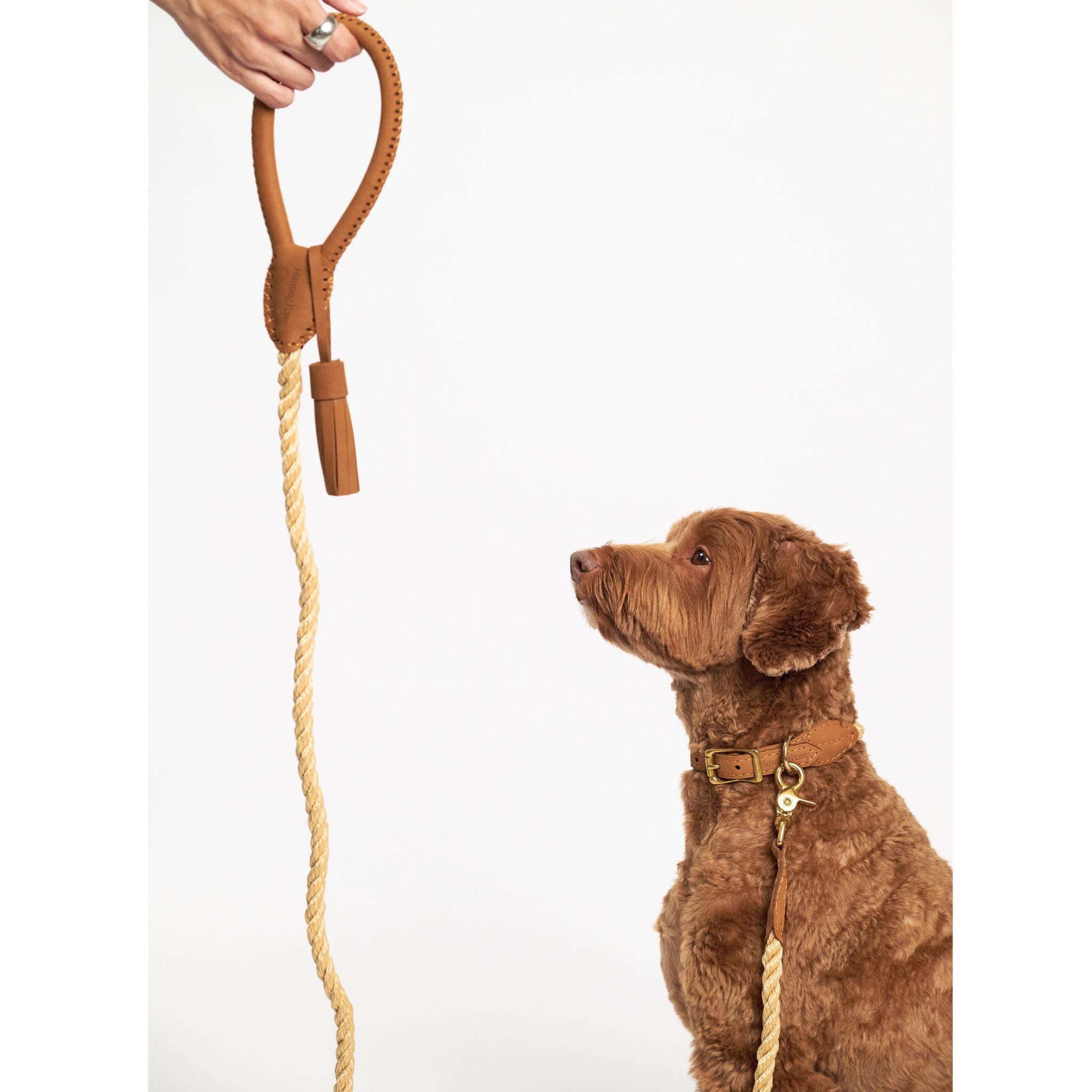 Hunting Pony ドッグリード・カントリーポニーv.2