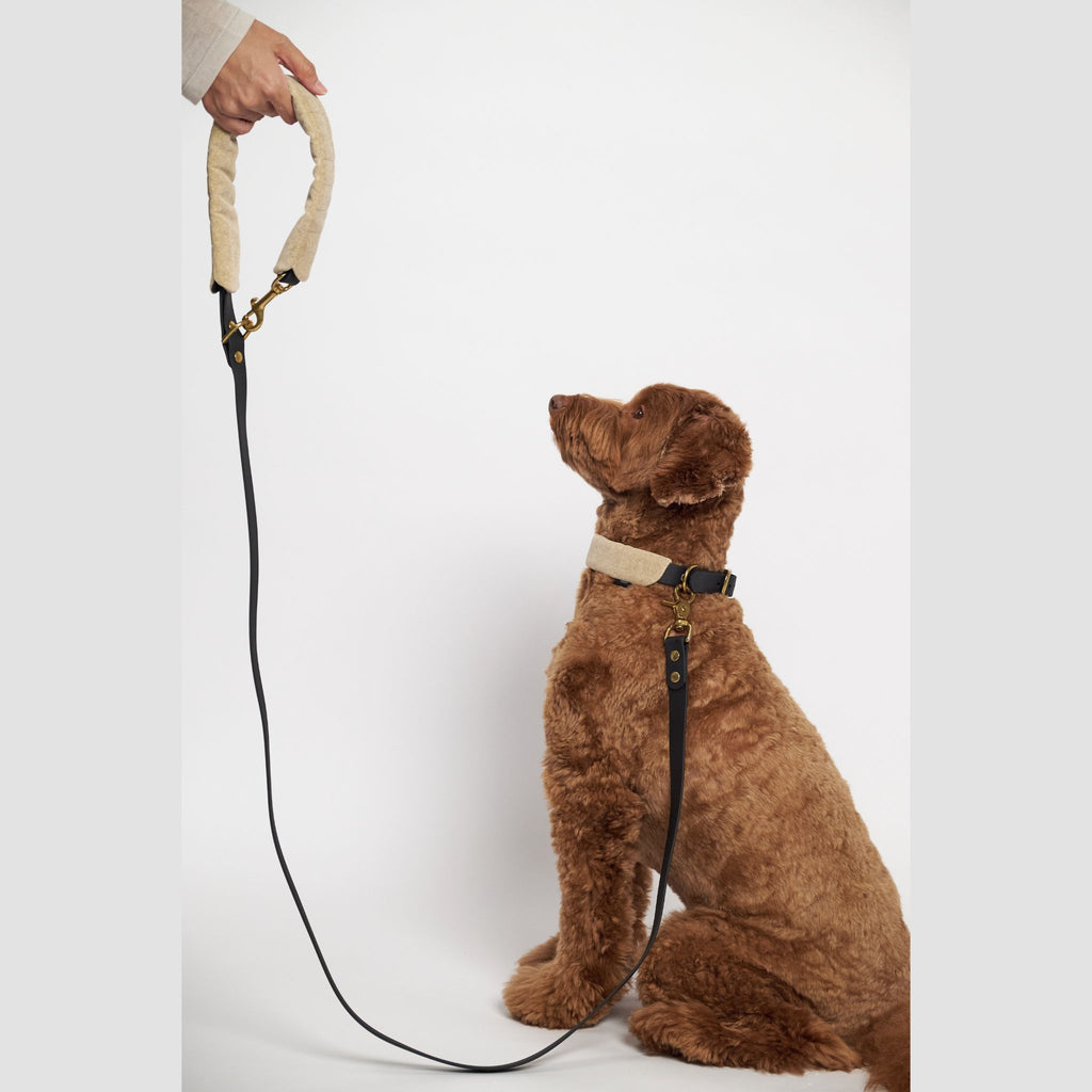 Hunting Pony ドッグリード・マスカルポニー