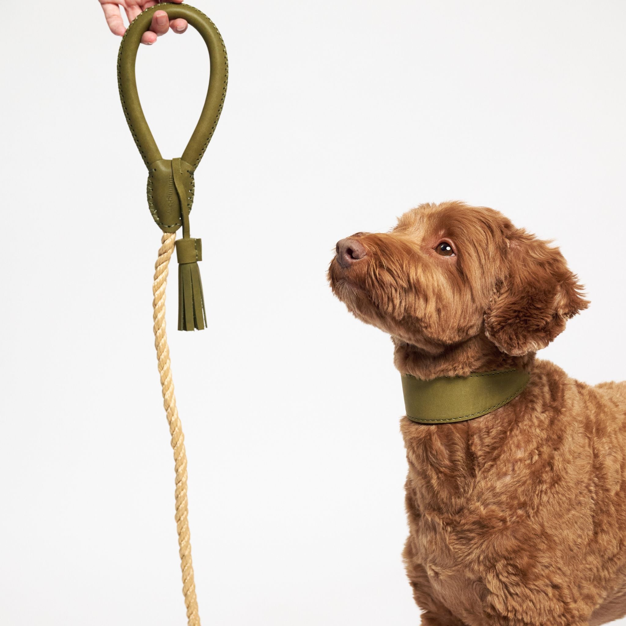 Hunting pony ドッグカラーヘリング