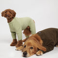 Go-Dog Fleece