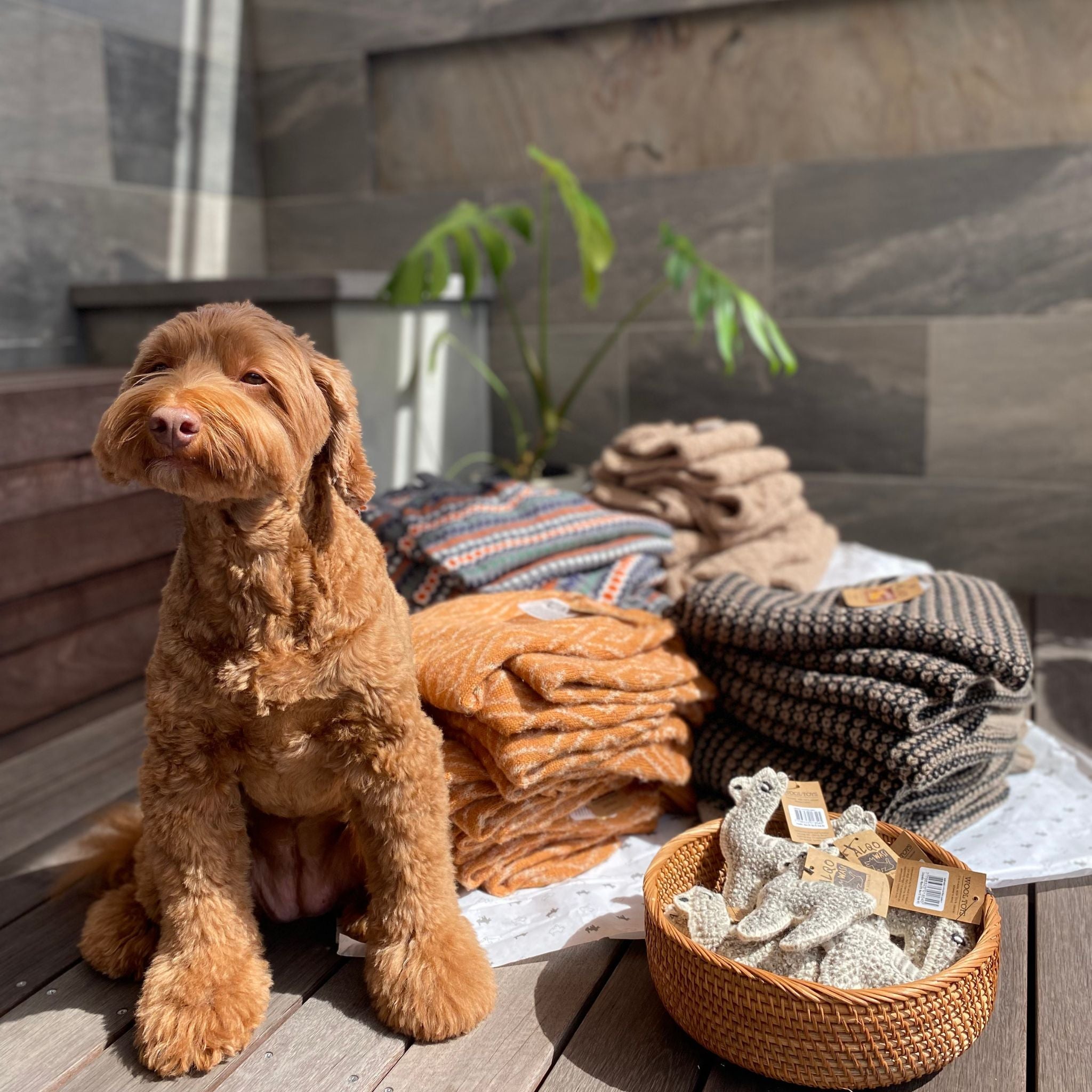 Alqowasi　アルパカTOY