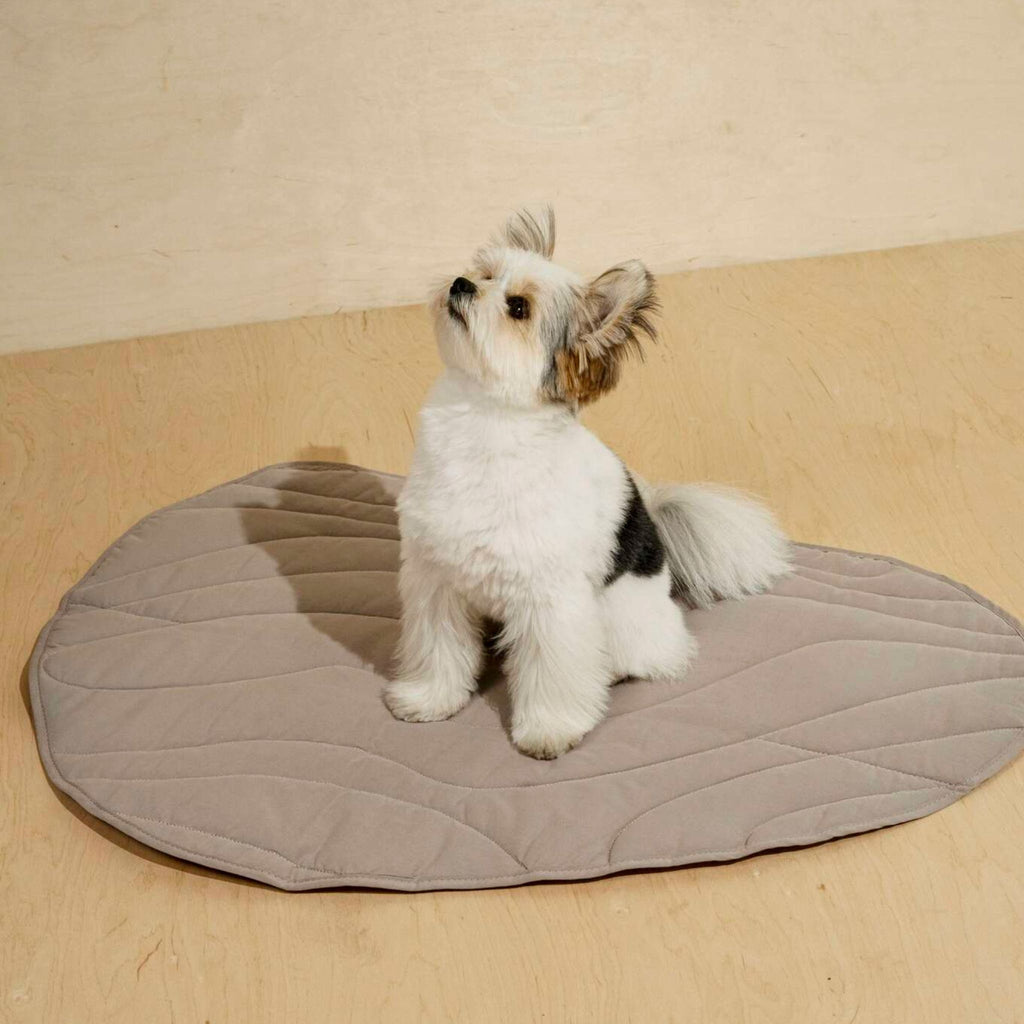 Hunting Pony ドッグマッド