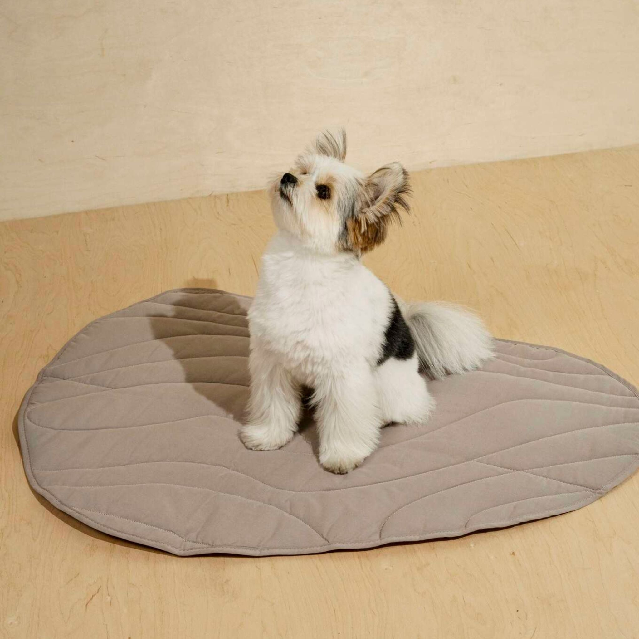 Hunting Pony ドッグマッド