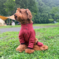Go-dog Jacket