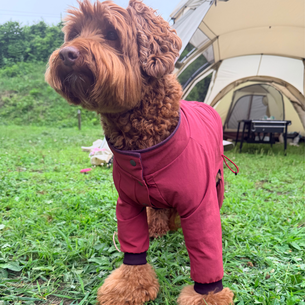 Go-dog Jacket