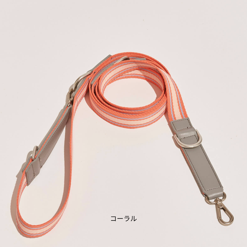 Pawness リードトリックス