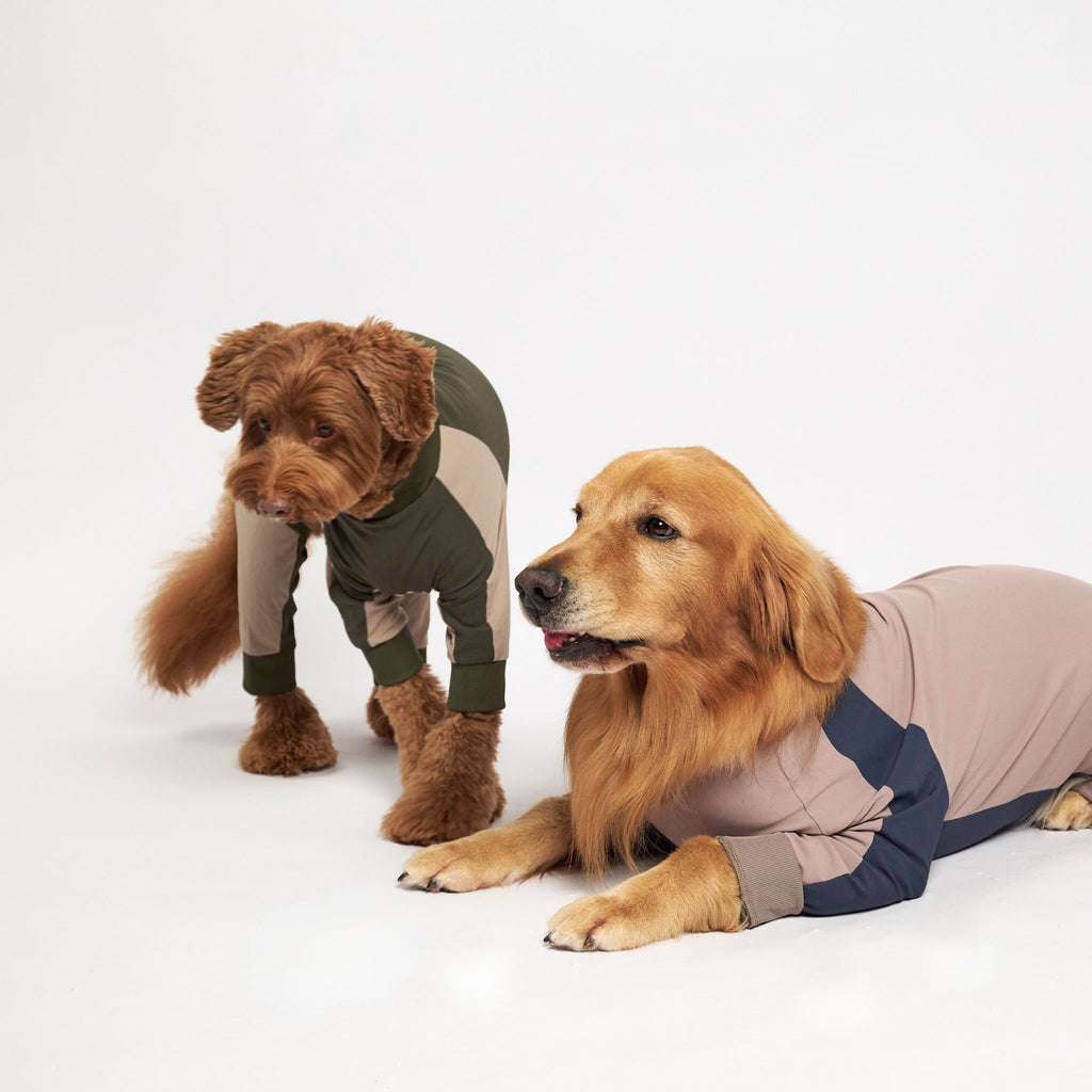 GO DOG ROMPERS