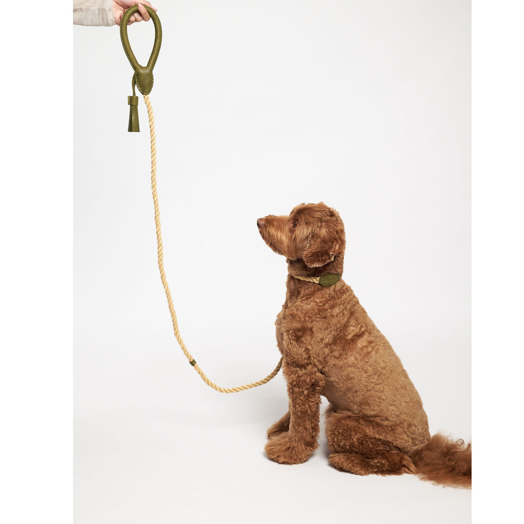 Hunting Pony ドッグリード・カントリーポニーv.2