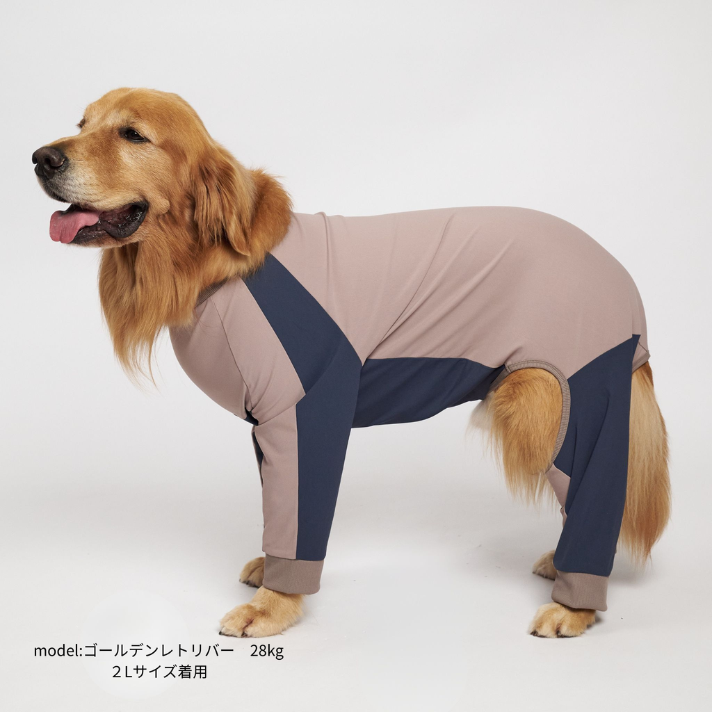 GO DOG ROMPERS