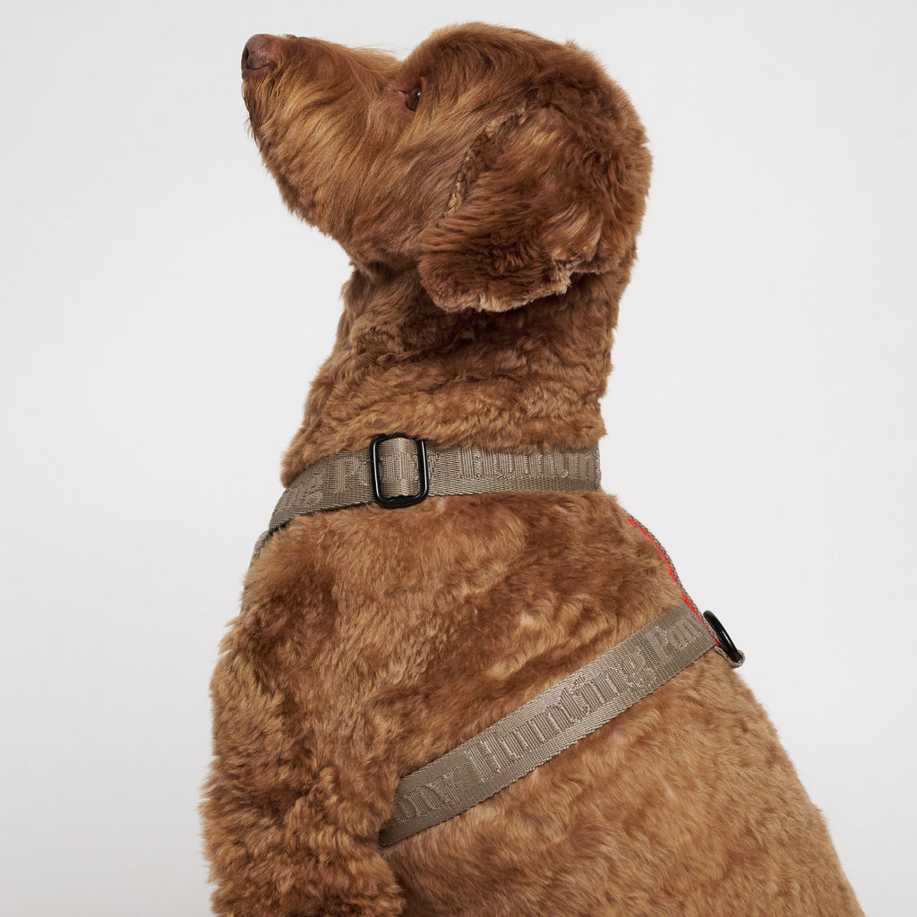 Hunting Ponyポニーコンパニオニー　ハーネス