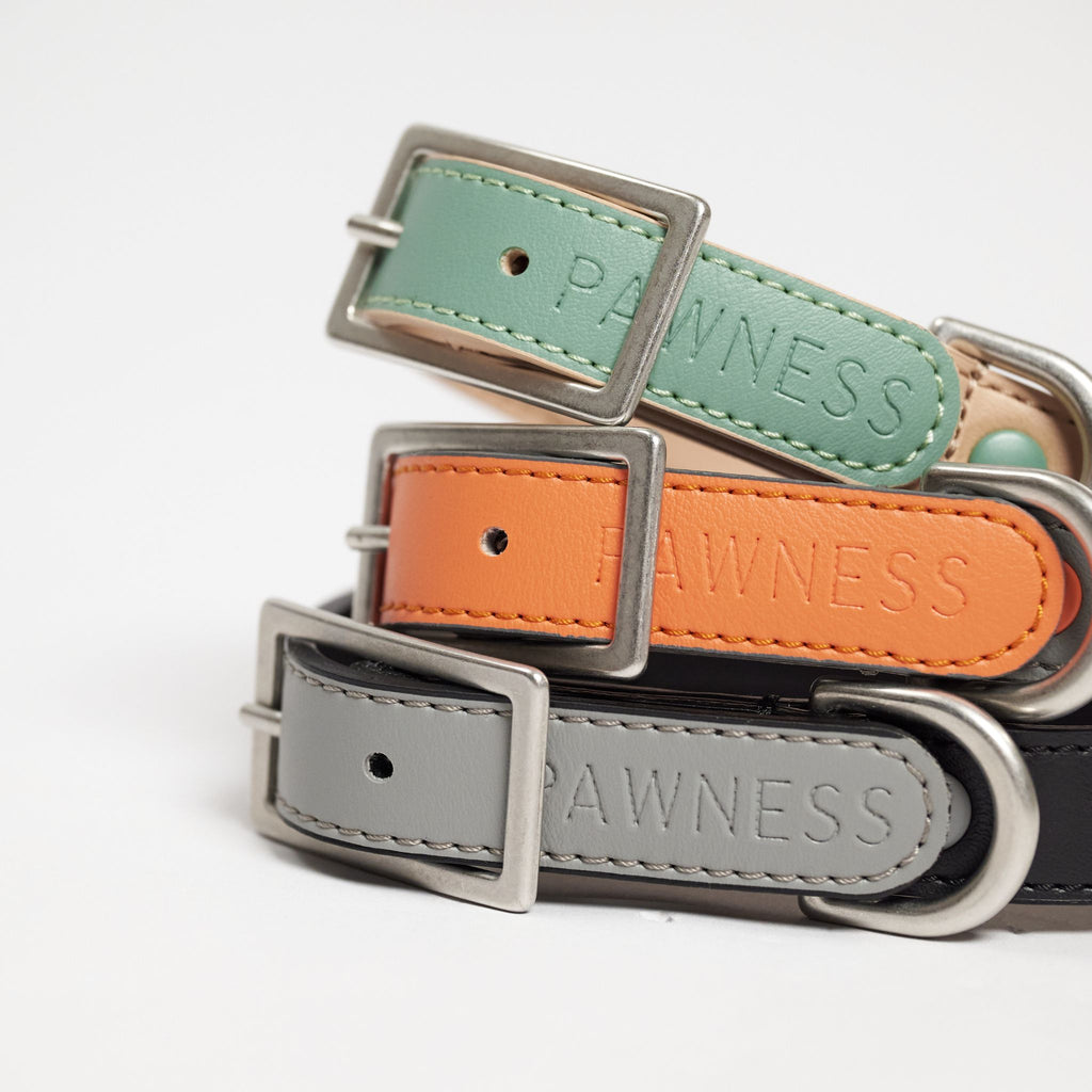 Pawness ヴィーガンレザーカラー