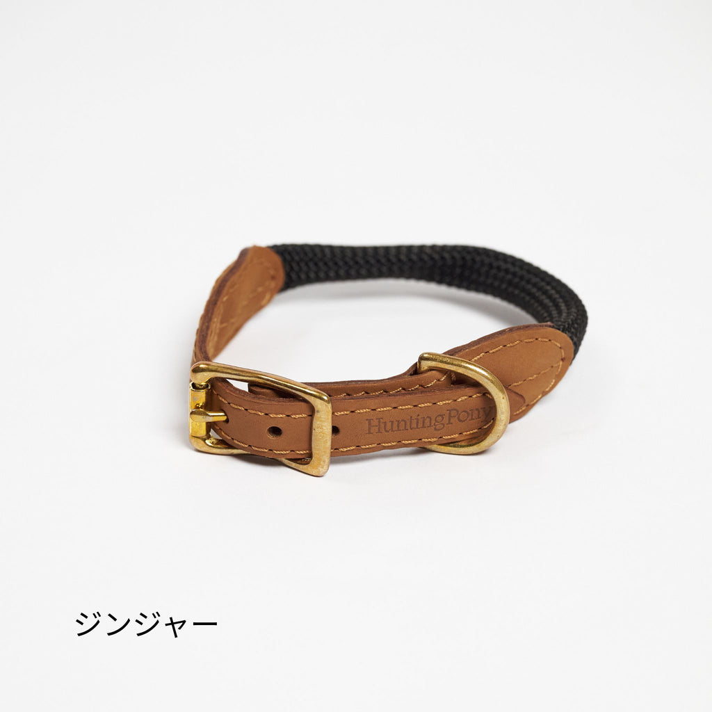 Hunting pony ドックカラーマカロニー