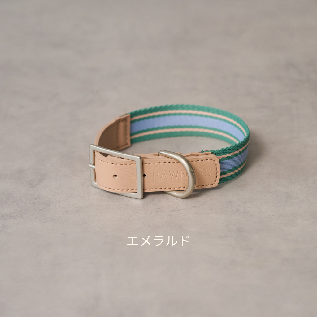 Pawness カラートリックス
