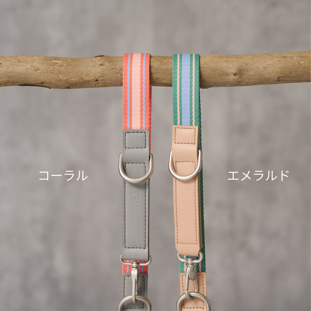 Pawness リードトリックス