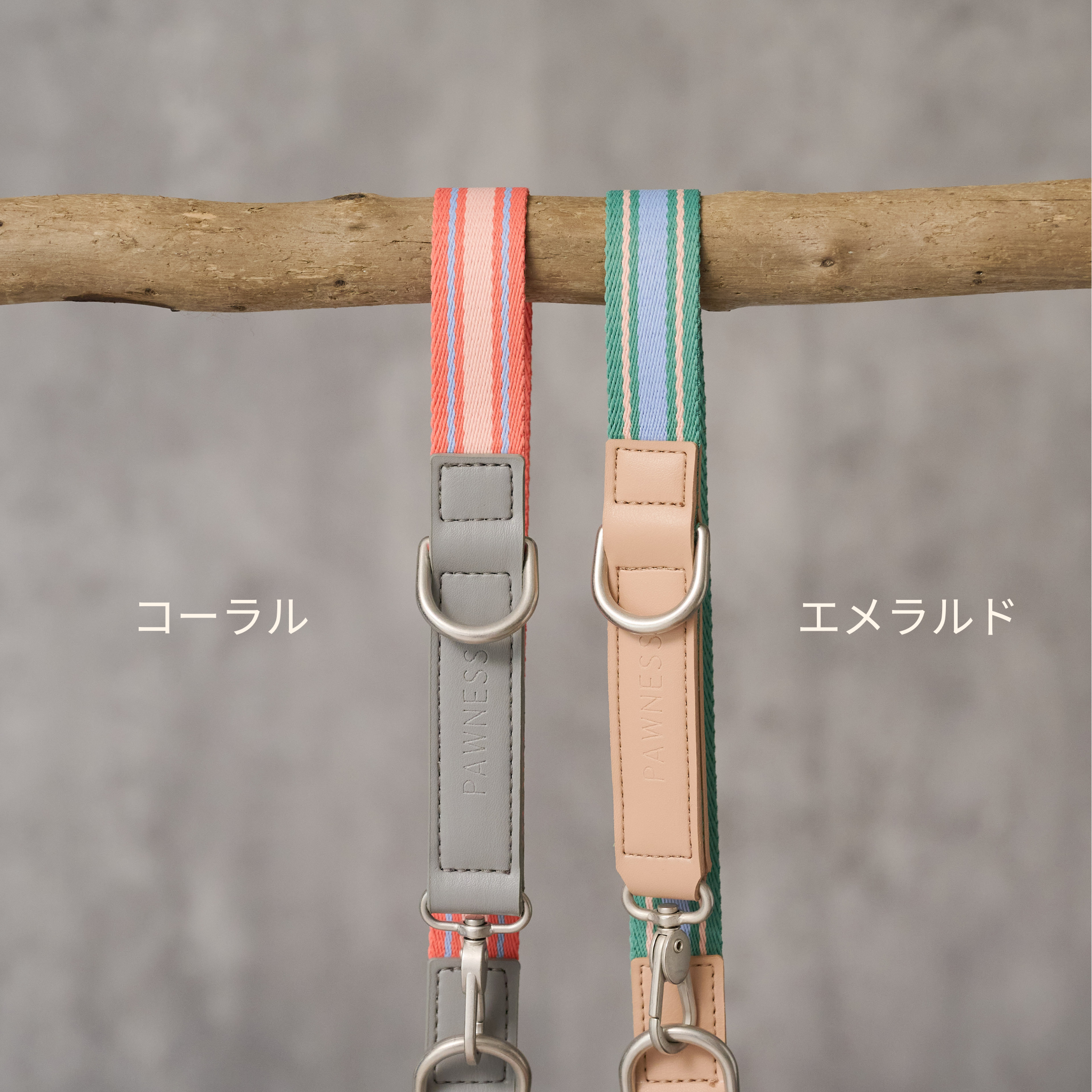 Pawness リードトリックス