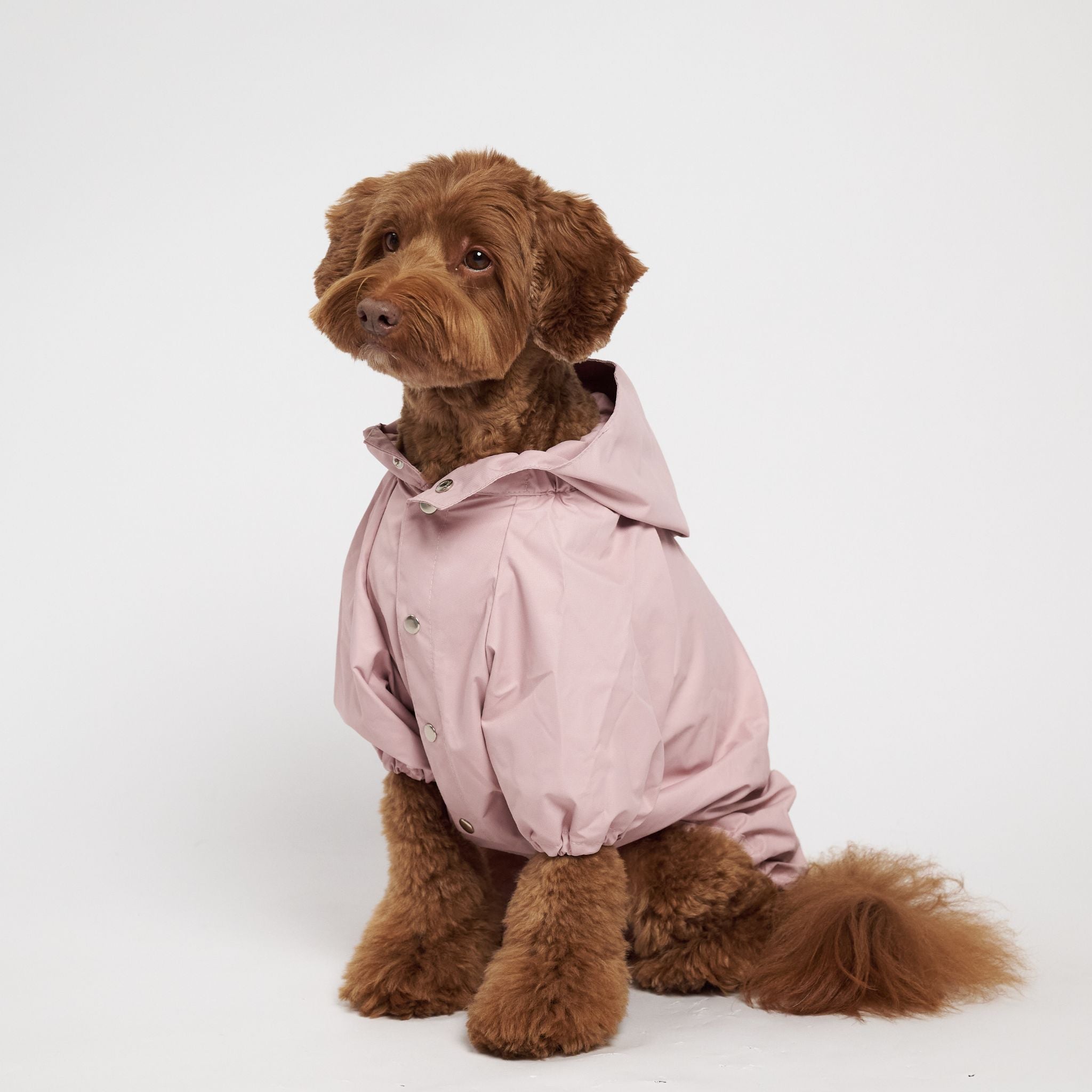 pawsome Studio アクティブジャケット