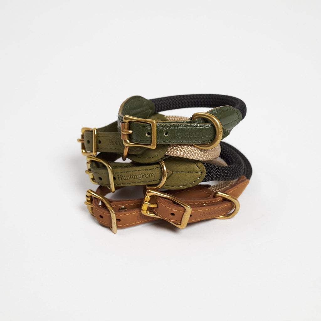 Hunting pony ドックカラーマカロニー