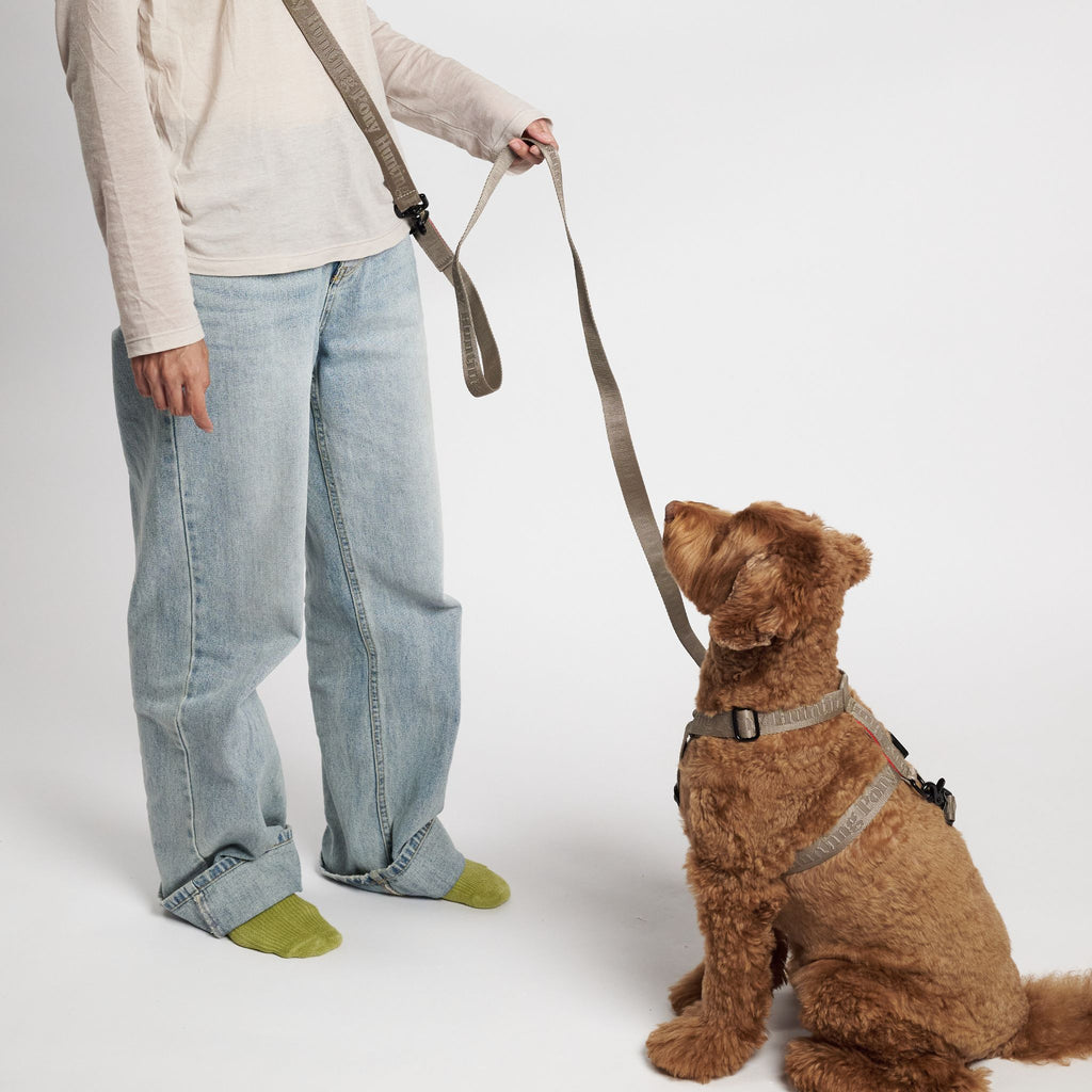 Hunting Ponyポニーコンパニオニー　ハーネス