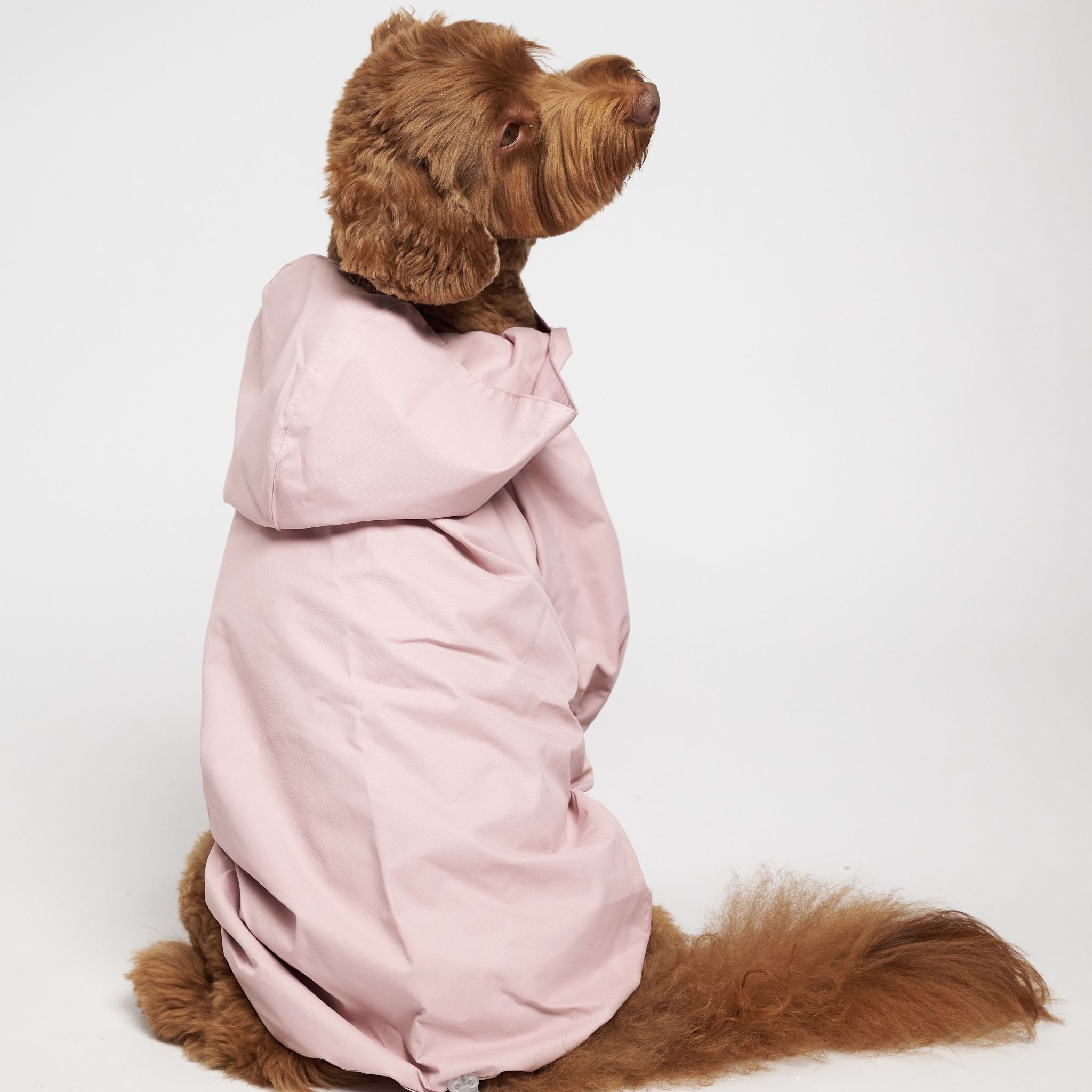 pawsome Studio アクティブジャケット