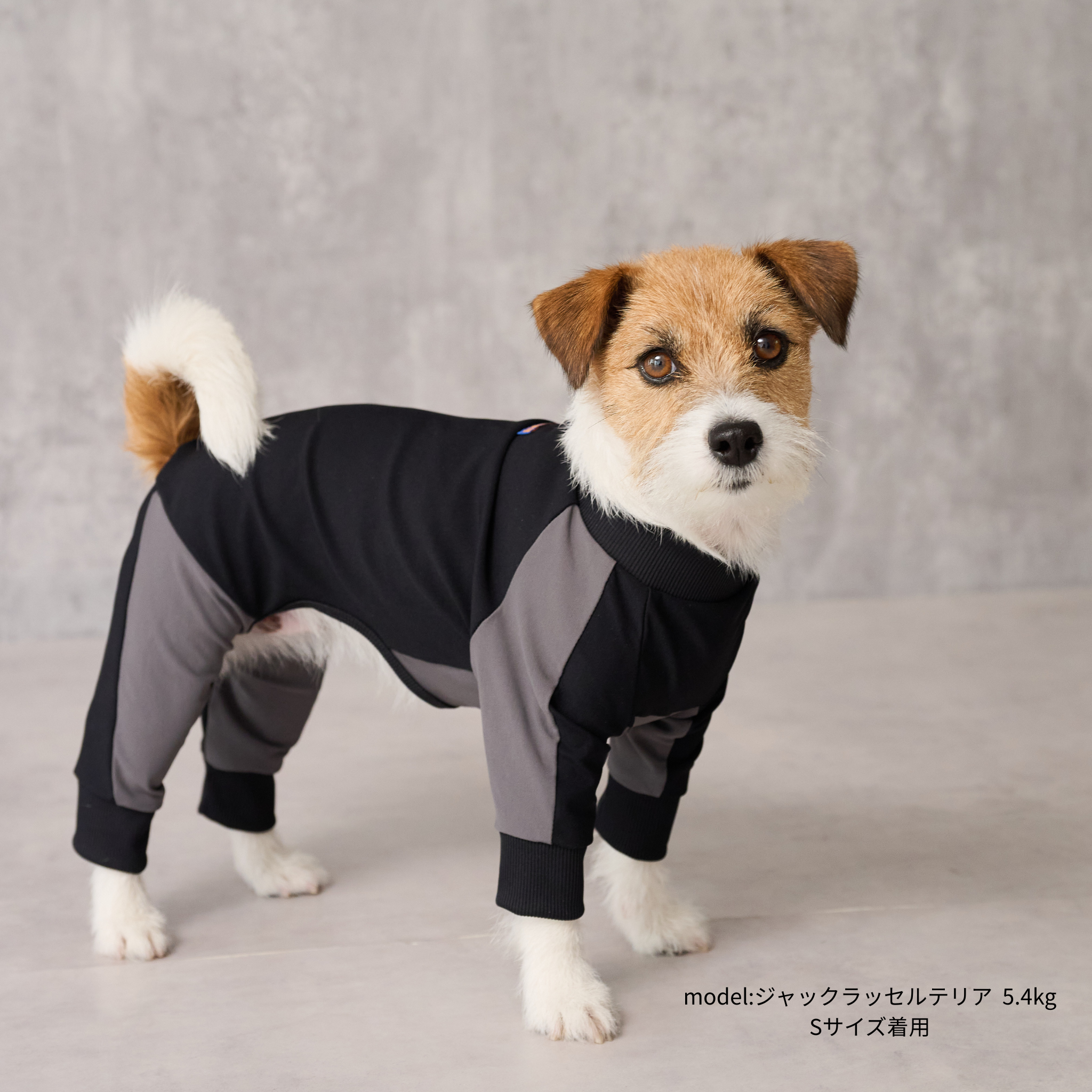 GO DOG ROMPERS