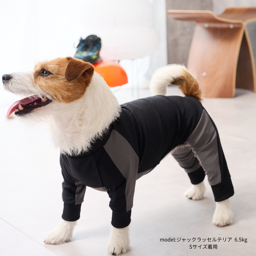 GO DOG ROMPERS