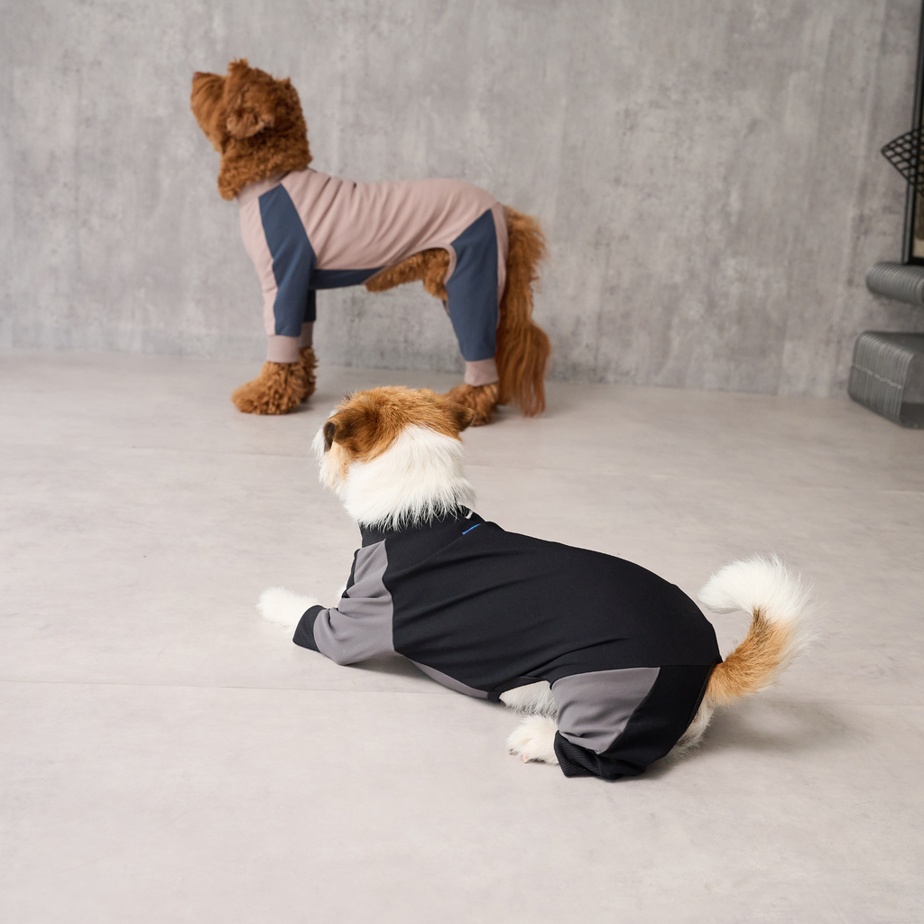 GO DOG ROMPERS