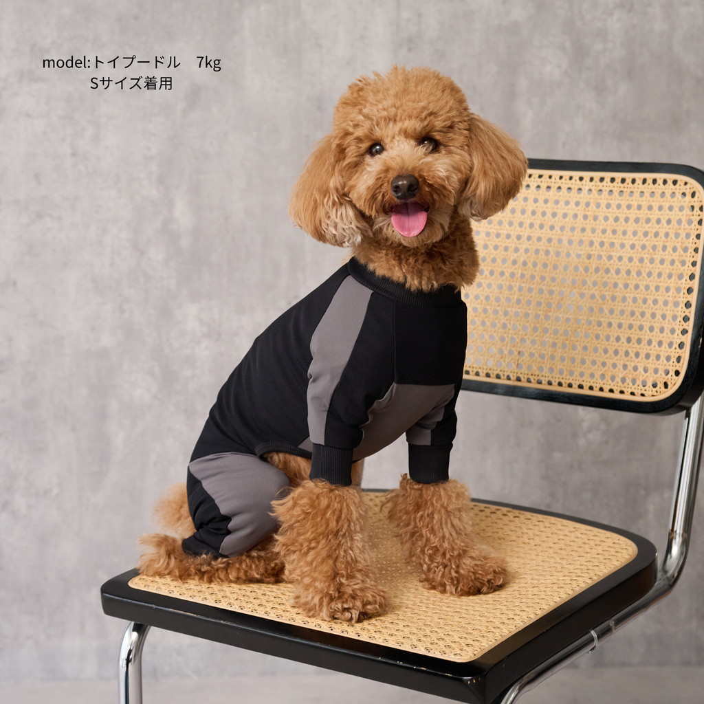 GO DOG ROMPERS