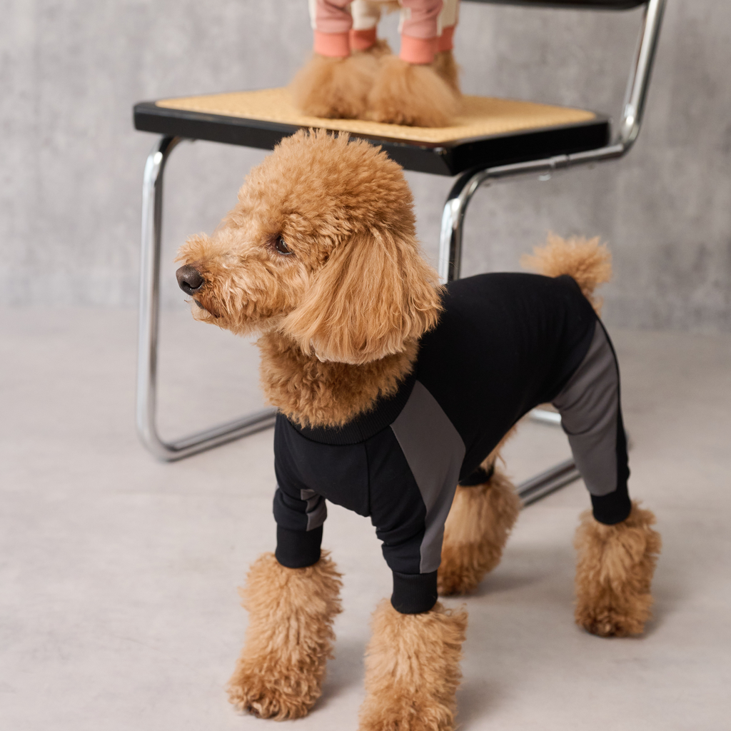 GO DOG ROMPERS