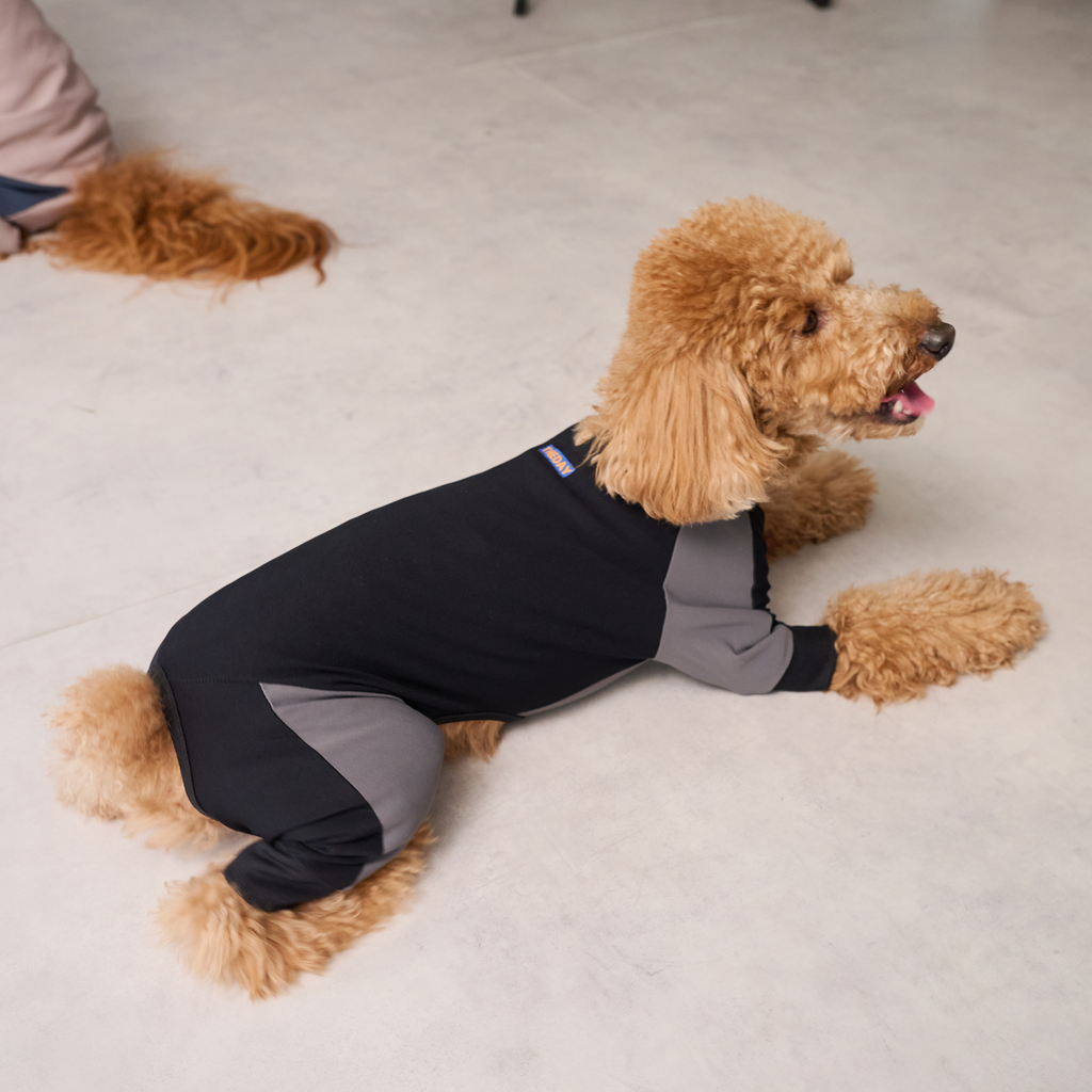 GO DOG ROMPERS