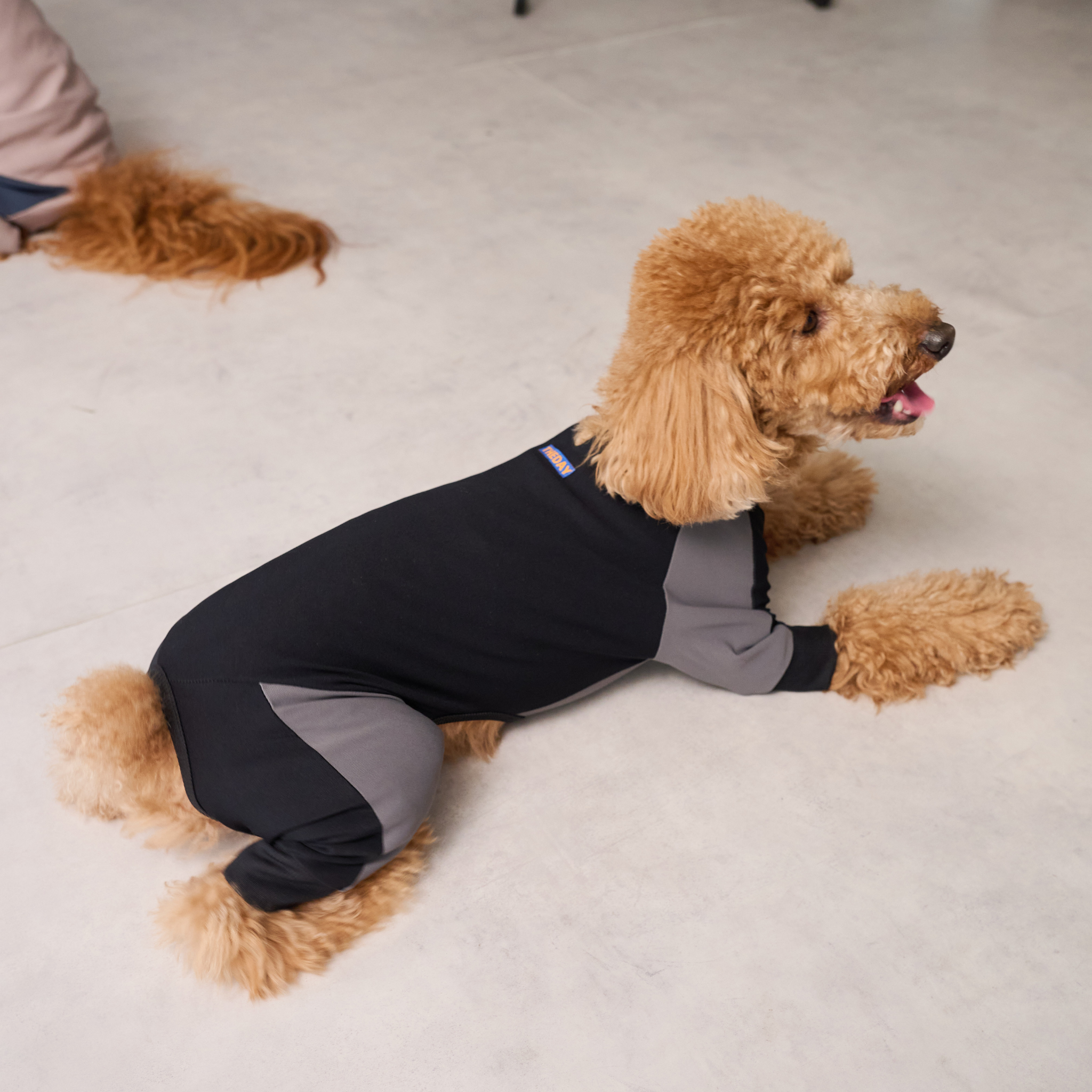 GO DOG ROMPERS