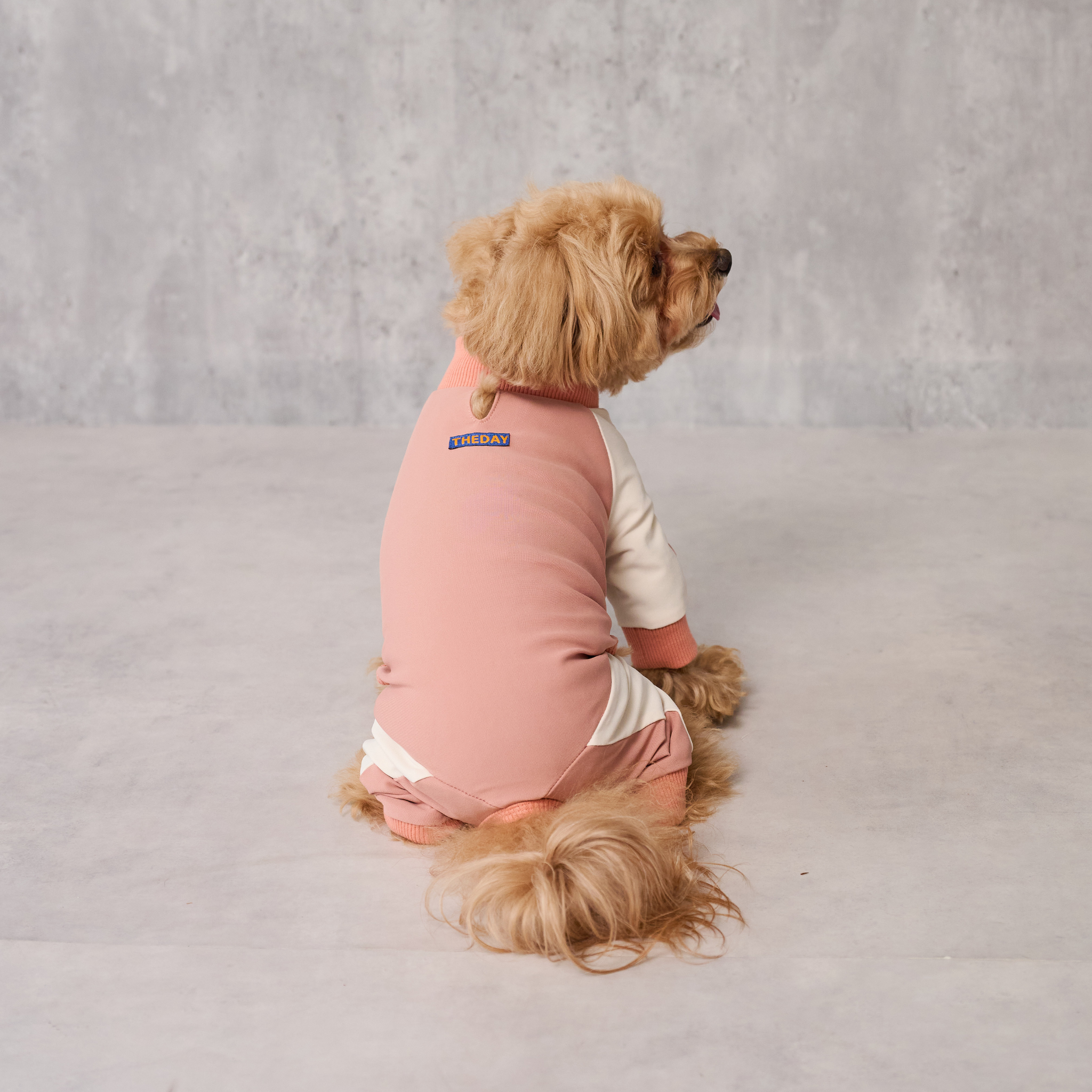 GO DOG ROMPERS