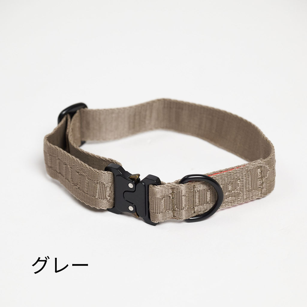 Hunting Pony ポニーコンパニオニー　カラー